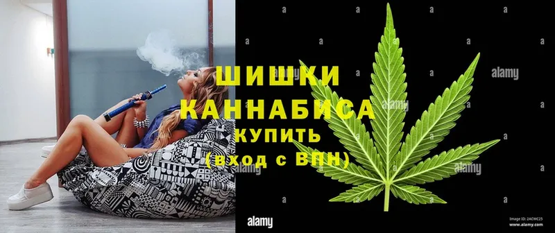 Конопля Ganja  Мыски 